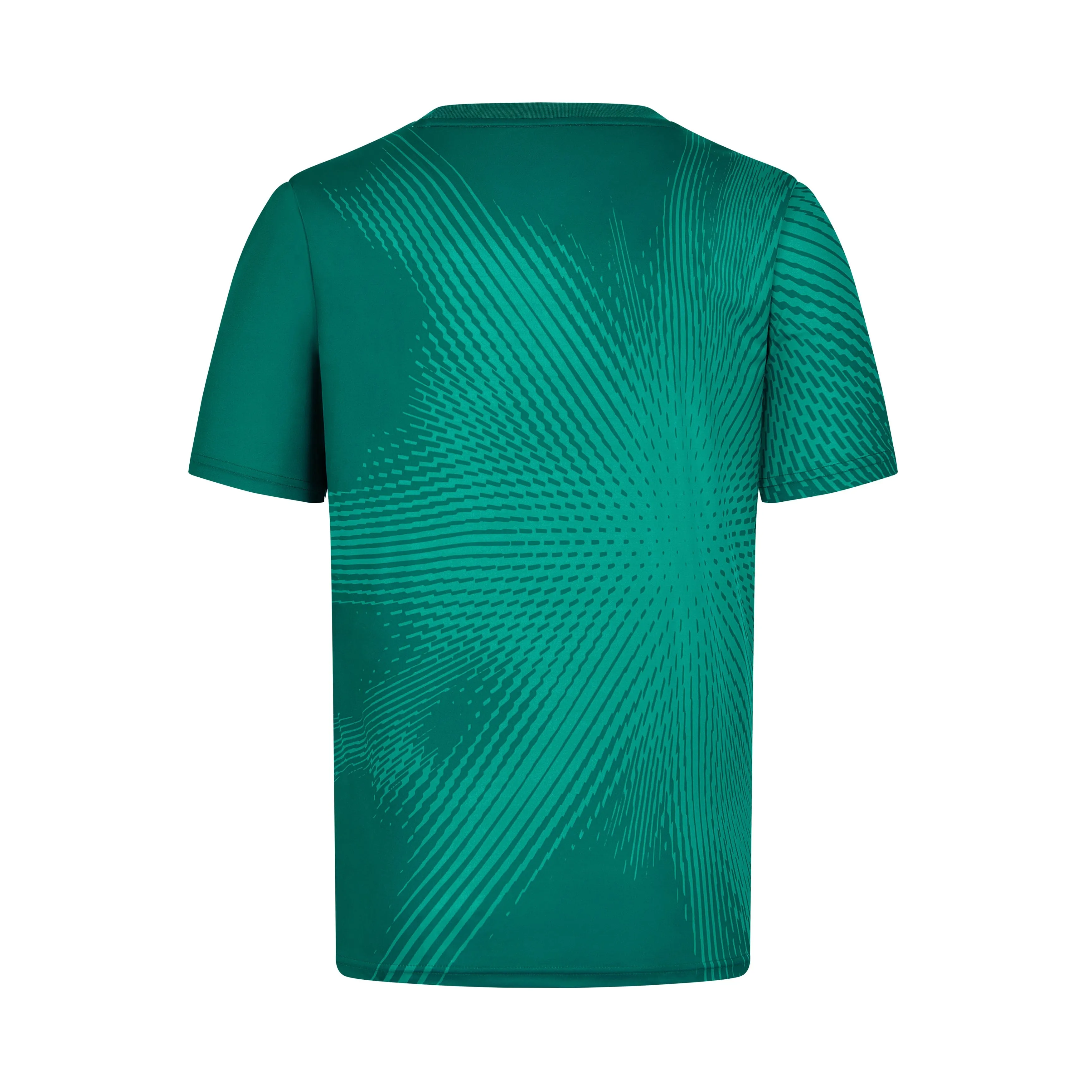 Aston Martin F1 Lifestyle Burst T-Shirt - Green