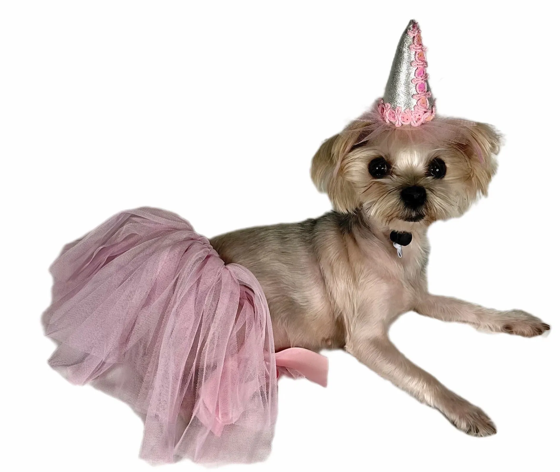 Pawpatu Birthday Hat and Tutu Set, 2-piece Set