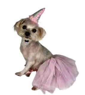 Pawpatu Birthday Hat and Tutu Set, 2-piece Set